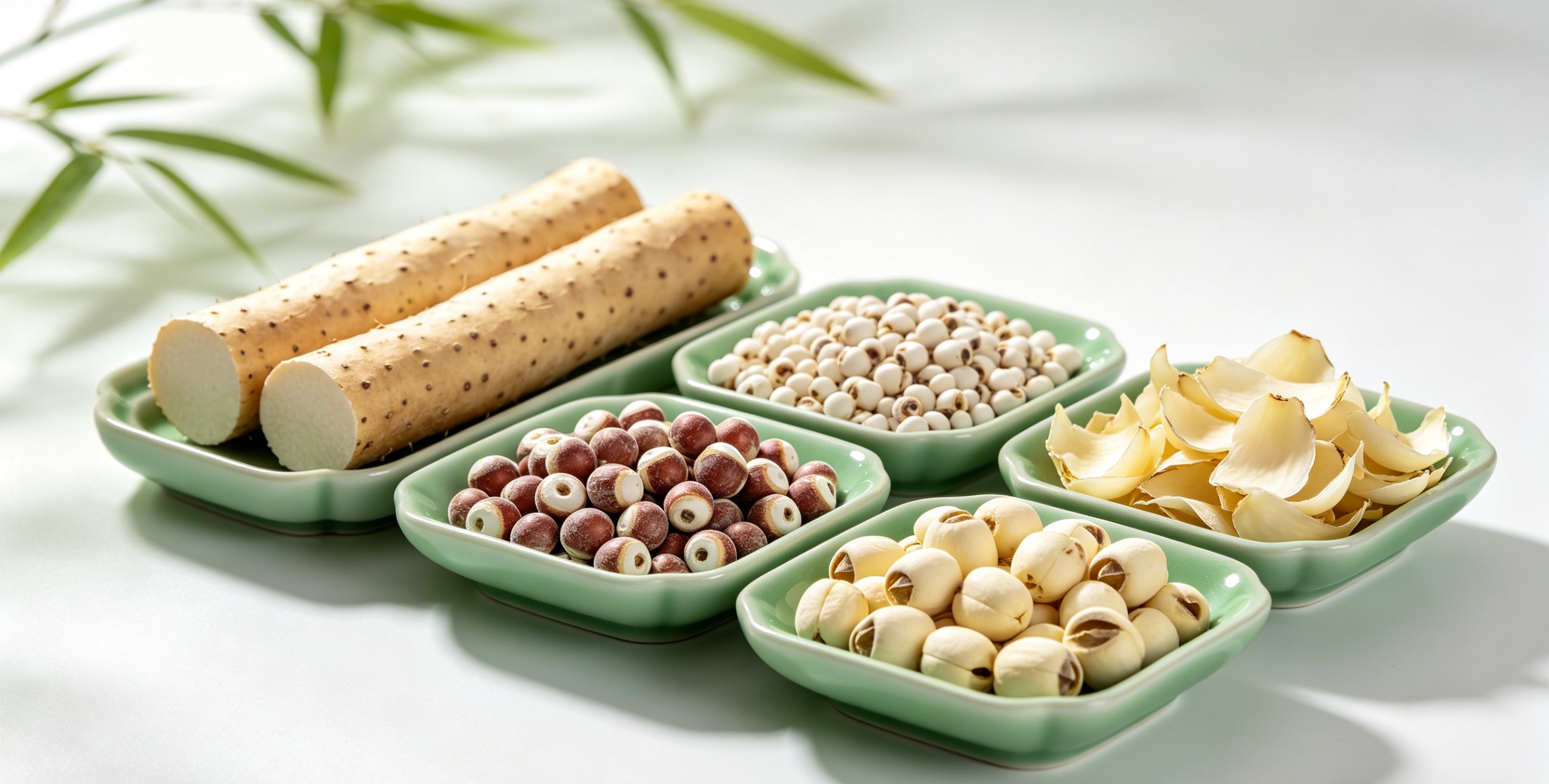 山药芡实莲子百合草本食材干货合集